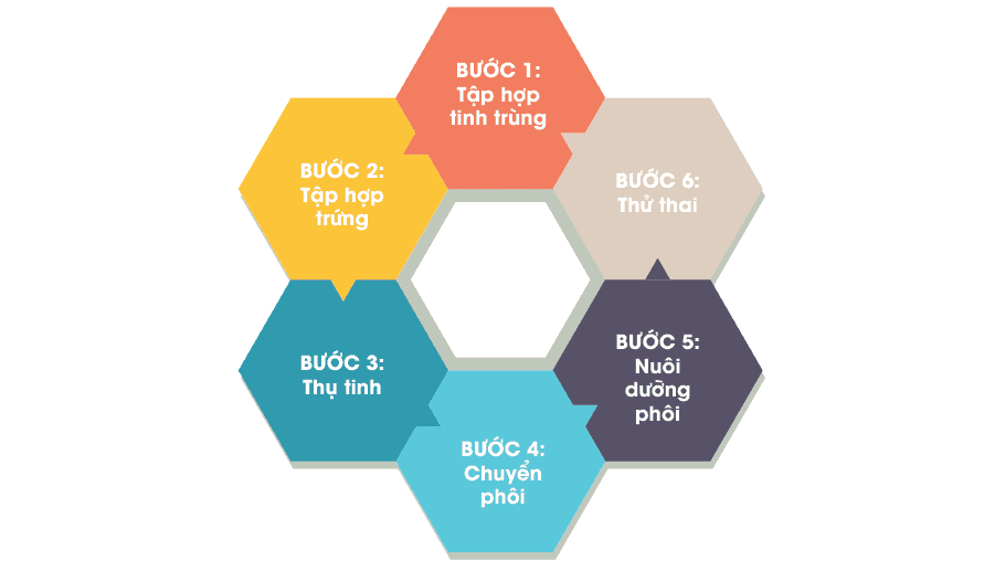 Quy trình tiêm tinh trùng vào bào tương noãn (ICSI)