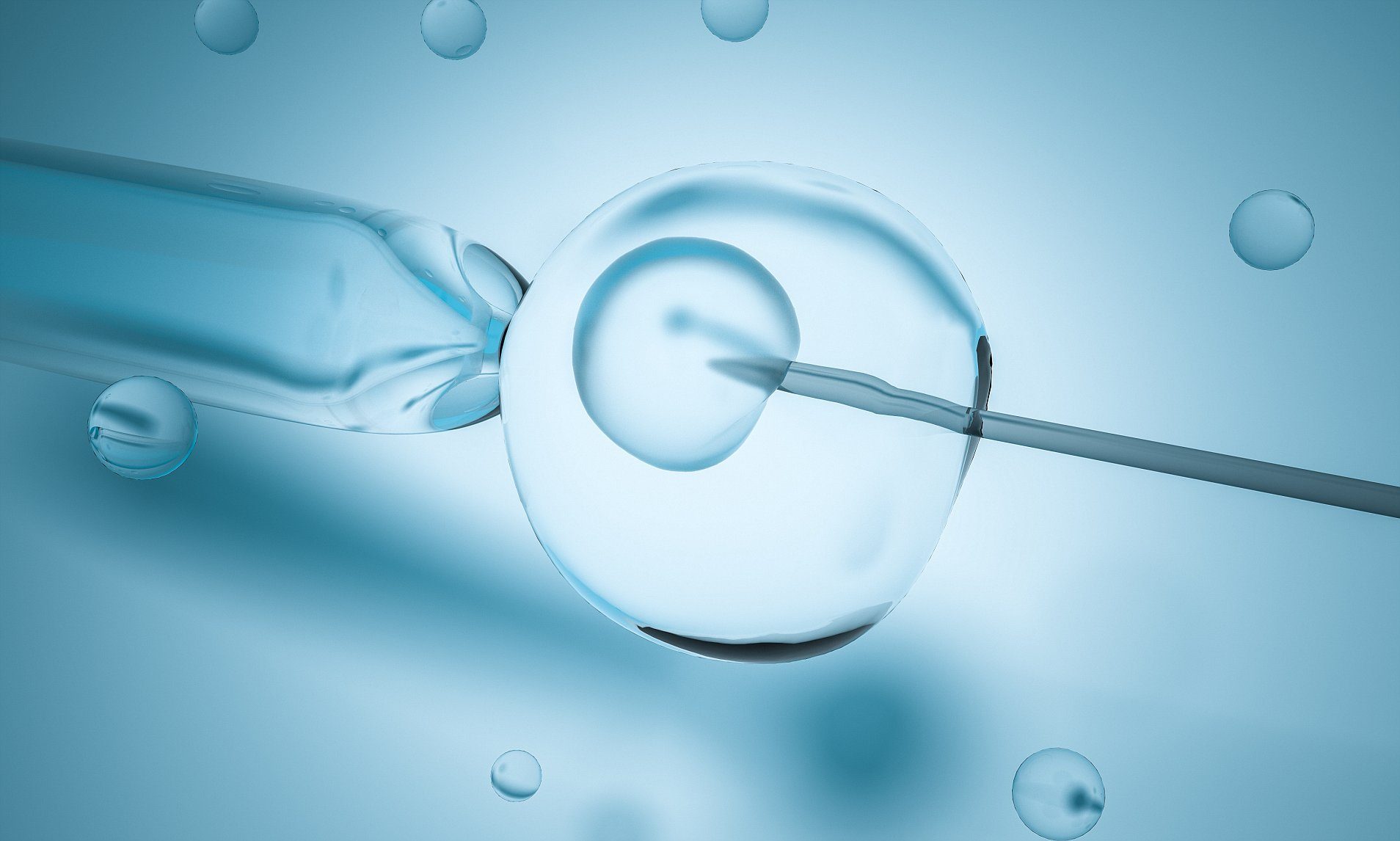 Tắc vòi trứng có làm IVF được không